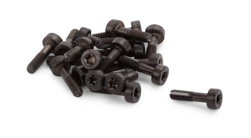 Screw M5 X .8 X 20